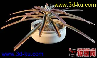 3D打印模型高质量盆栽（带材质）花 树精品28的图片