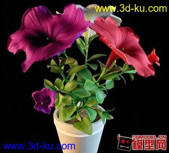 3D打印模型高质量盆栽（带材质）花 树精品28的图片