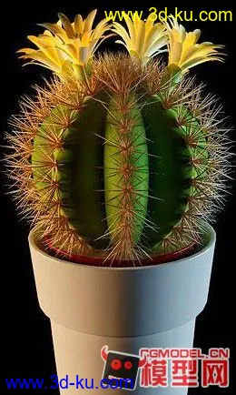 3D打印模型高质量盆栽（带材质）花 树精品28的图片