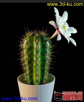 3D打印模型高质量盆栽（带材质）花 树精品28的图片