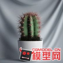 高质量盆栽（带材质）花 树精品28模型的图片6