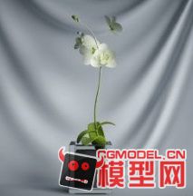 高质量盆栽（带材质）花 树精品28模型的图片14