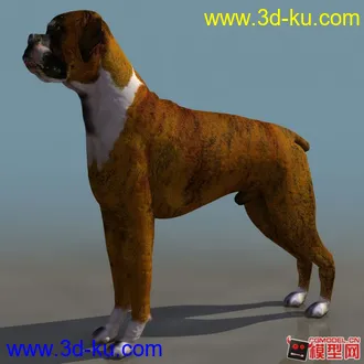 3D打印模型一只沙皮狗···的图片