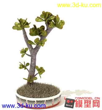 3D打印模型高质量免费盆栽盆景（带材质）精品68的图片