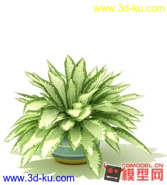 3D打印模型高质量免费盆栽盆景（带材质）精品68的图片