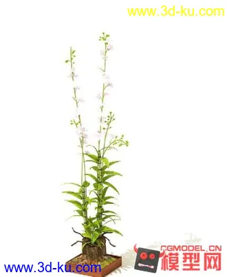 3D打印模型高质量免费盆栽盆景（带材质）精品68的图片