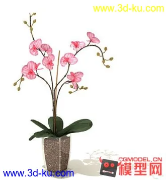 3D打印模型高质量免费盆栽盆景（带材质）精品68的图片