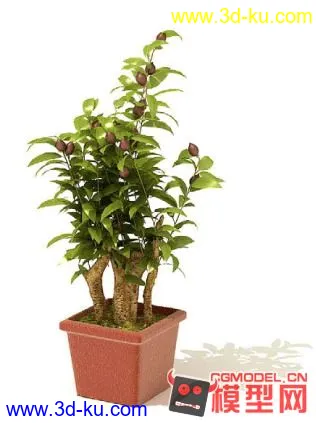 3D打印模型高质量免费盆栽盆景（带材质）精品68的图片