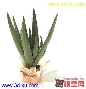 3D打印模型高质量免费盆栽盆景（带材质）精品68的图片