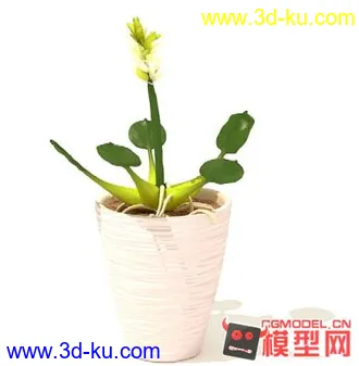 3D打印模型高质量免费盆栽盆景（带材质）精品68的图片