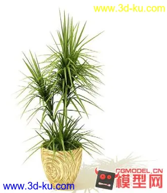 3D打印模型高质量免费盆栽盆景（带材质）精品68的图片