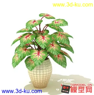 3D打印模型高质量免费盆栽盆景（带材质）精品68的图片