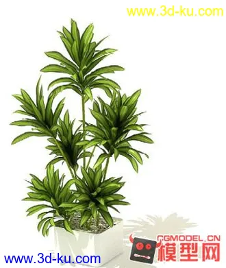3D打印模型高质量免费盆栽盆景（带材质）精品68的图片