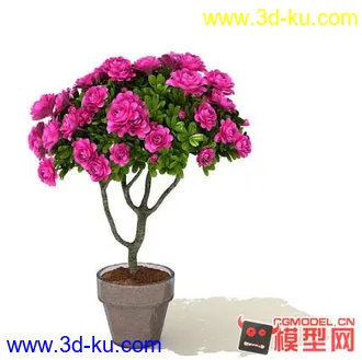 3D打印模型高质量免费盆栽盆景（带材质）精品68的图片