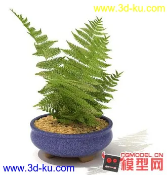 3D打印模型高质量免费盆栽盆景（带材质）精品68的图片