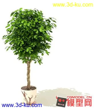 3D打印模型高质量免费盆栽盆景（带材质）精品68的图片