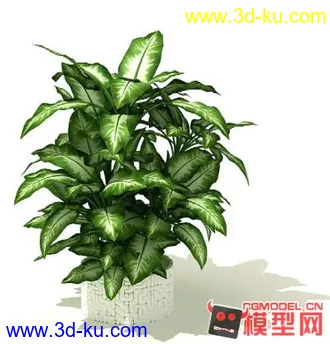 3D打印模型高质量免费盆栽盆景（带材质）精品68的图片