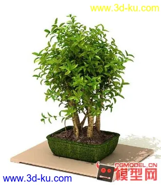 3D打印模型高质量免费盆栽盆景（带材质）精品68的图片