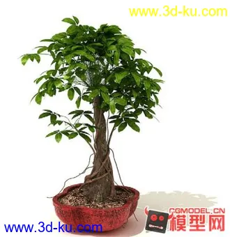 3D打印模型高质量免费盆栽盆景（带材质）精品68的图片