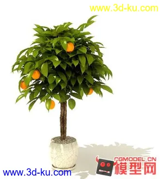 3D打印模型高质量免费盆栽盆景（带材质）精品68的图片