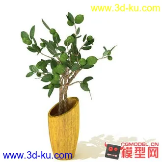 3D打印模型高质量免费盆栽盆景（带材质）精品68的图片