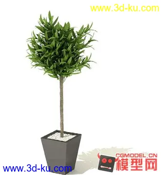3D打印模型高质量免费盆栽盆景（带材质）精品68的图片