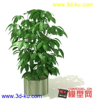 3D打印模型高质量免费盆栽盆景（带材质）精品68的图片
