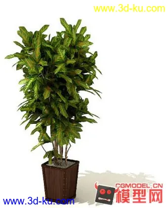 3D打印模型高质量免费盆栽盆景（带材质）精品68的图片