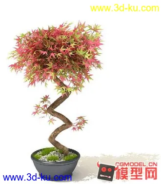 3D打印模型高质量免费盆栽盆景（带材质）精品68的图片