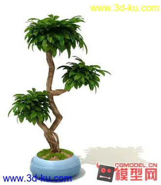 3D打印模型高质量免费盆栽盆景（带材质）精品68的图片