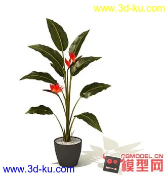 3D打印模型高质量免费盆栽盆景（带材质）精品68的图片