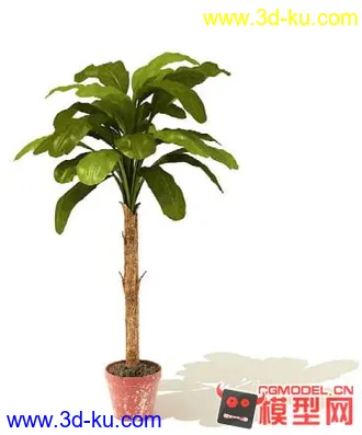 3D打印模型高质量免费盆栽盆景（带材质）精品68的图片
