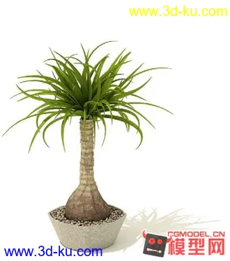 3D打印模型高质量免费盆栽盆景（带材质）精品68的图片