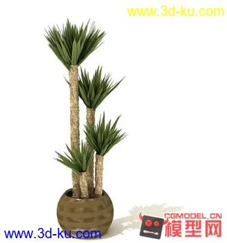 3D打印模型高质量免费盆栽盆景（带材质）精品68的图片