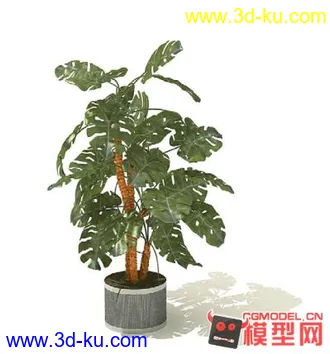 3D打印模型高质量免费盆栽盆景（带材质）精品68的图片