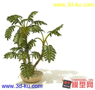 3D打印模型高质量免费盆栽盆景（带材质）精品68的图片