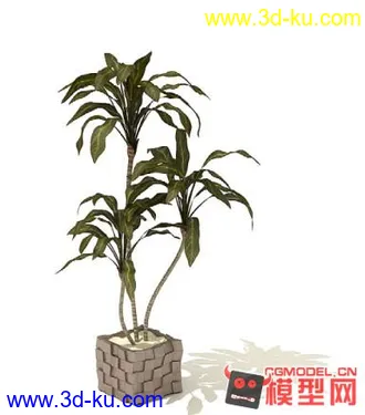 3D打印模型高质量免费盆栽盆景（带材质）精品68的图片