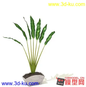 3D打印模型高质量免费盆栽盆景（带材质）精品68的图片