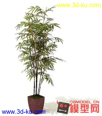 3D打印模型高质量免费盆栽盆景（带材质）精品68的图片