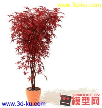 3D打印模型高质量免费盆栽盆景（带材质）精品68的图片