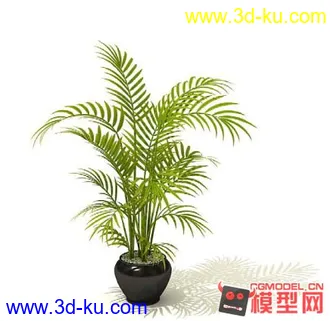 3D打印模型高质量免费盆栽盆景（带材质）精品68的图片