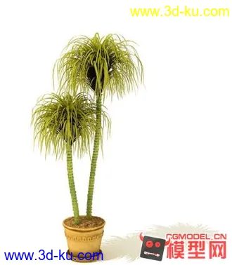 3D打印模型高质量免费盆栽盆景（带材质）精品68的图片