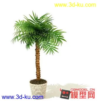 3D打印模型高质量免费盆栽盆景（带材质）精品68的图片