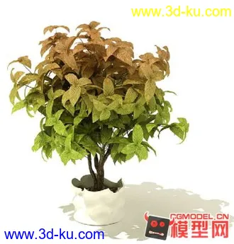 3D打印模型高质量免费盆栽盆景（带材质）精品68的图片