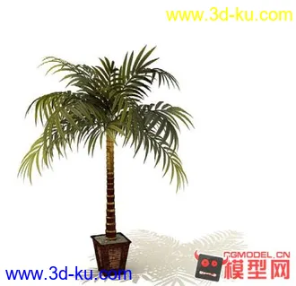 3D打印模型高质量免费盆栽盆景（带材质）精品68的图片