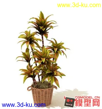 3D打印模型高质量免费盆栽盆景（带材质）精品68的图片