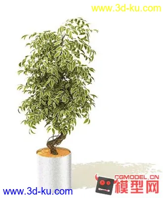3D打印模型高质量免费盆栽盆景（带材质）精品68的图片
