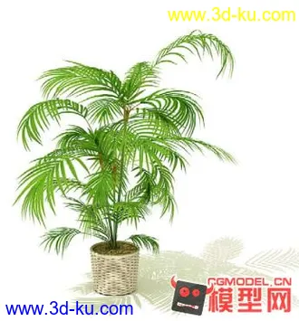 3D打印模型高质量免费盆栽盆景（带材质）精品68的图片