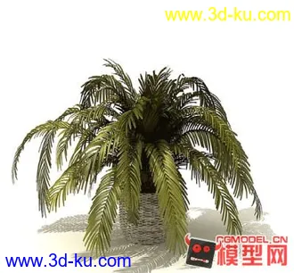3D打印模型高质量免费盆栽盆景（带材质）精品68的图片