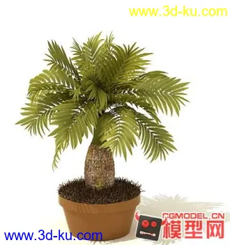 3D打印模型高质量免费盆栽盆景（带材质）精品68的图片